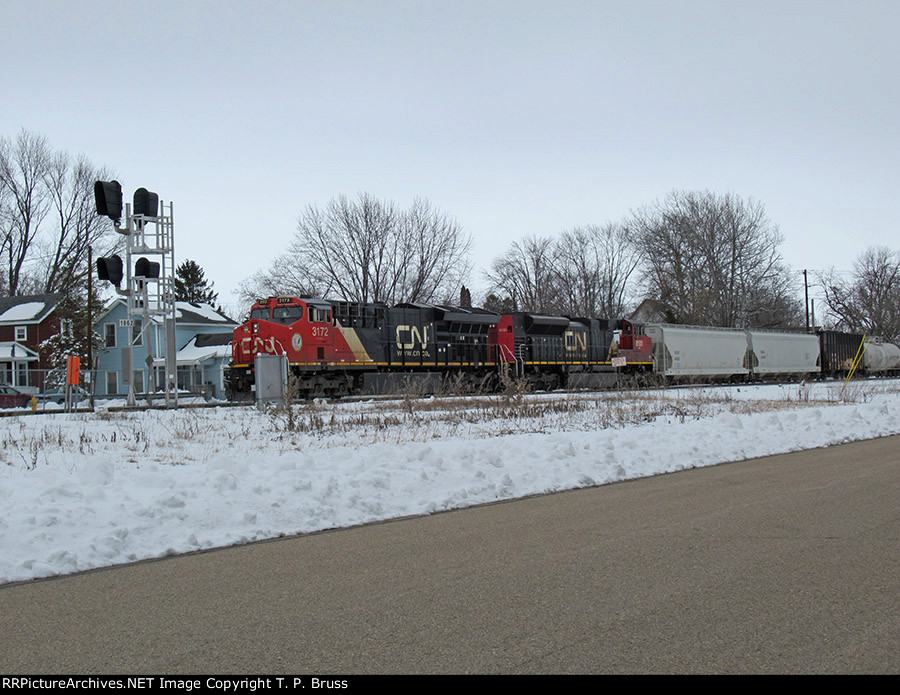 CN 3172 and CN 8101